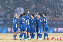 国安对阵河南：联赛关键对决，阵容解析与战术焦点